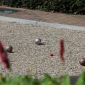 Jeu de Boules - 77