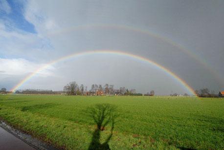 Een band van Alexander